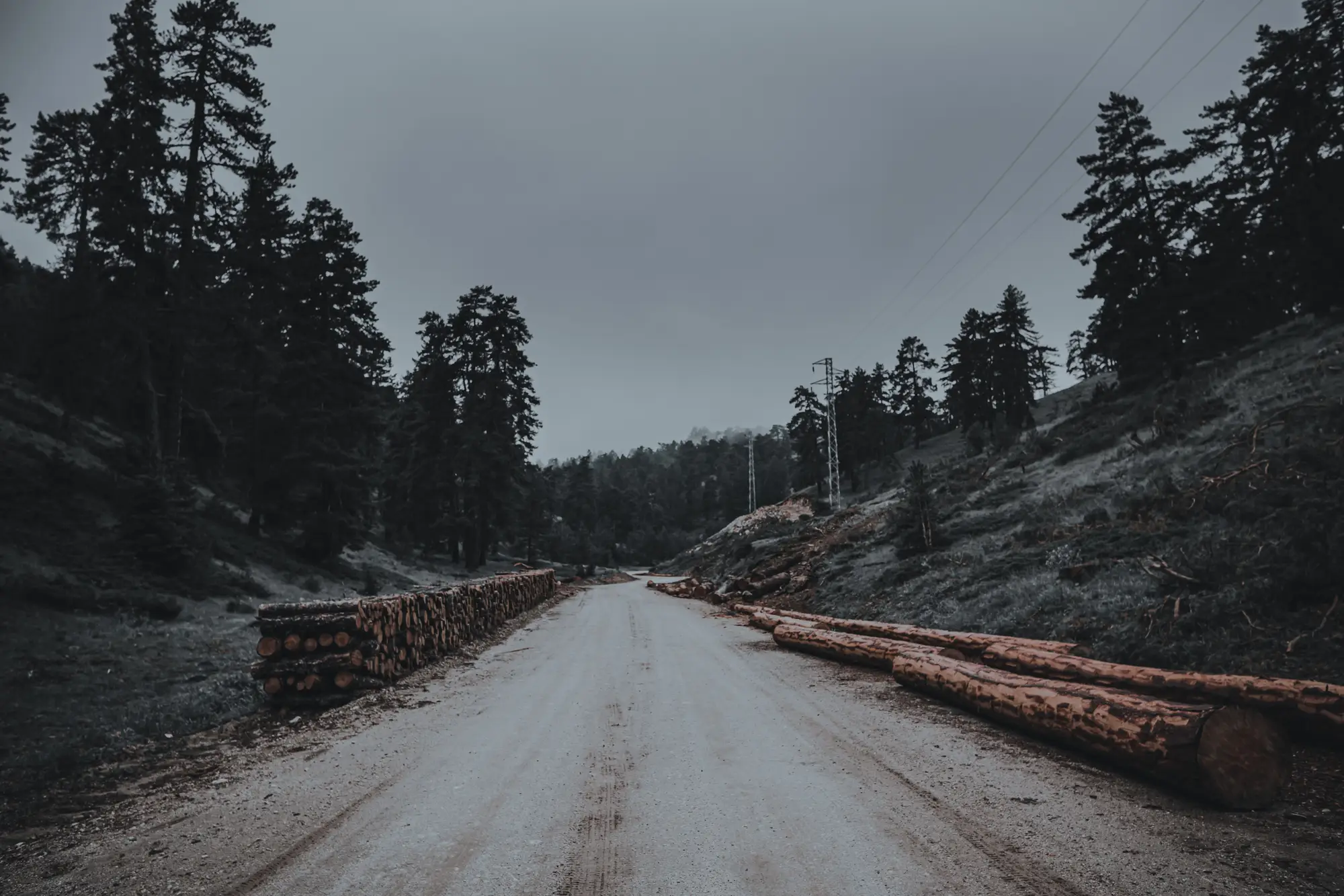 A gravel haul road through pine forest with felled logs stacked along both verges
